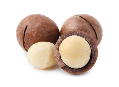 Beyaz kabuklu Macadamia fındığı