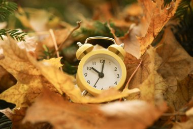 Sonbahar geldi. Düşen yapraklardaki çalar saat, yakın plan.