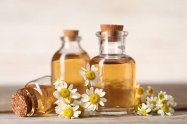 Ahşap masada gerekli yağ ve papatya çiçekleri, yakın plan.