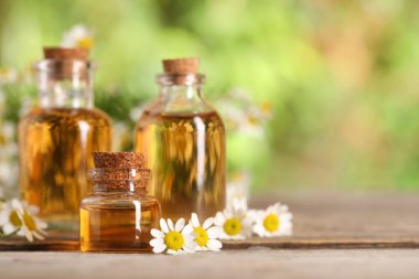 Ahşap masada gerekli yağ şişeleri ve papatya çiçekleri, yakın plan. Metin için boşluk