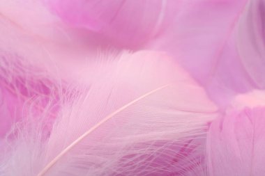 Beautiful pink feathers as background, closeup view