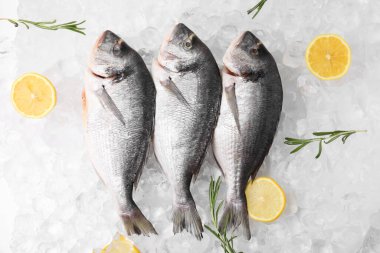 Deniz ürünleri. Taze çiğ balık, buz küplerinde limon ve biberiye.