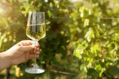 Bardak tutan adam dışarıda lezzetli şarapla, yakın plan. Metin için boşluk