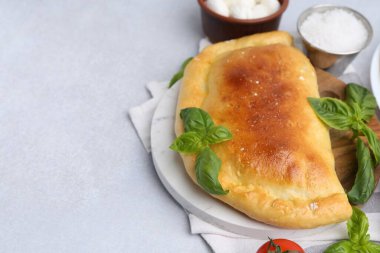 Fesleğen ve mozzarella peynirli leziz vejetaryen calzone, yakın plan. Metin için boşluk