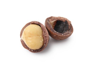 Beyaz kabuklu Macadamia cevizi.