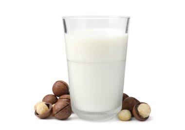 Beyaz üzerine izole edilmiş bir bardak Macadamia sütü ve fındık.
