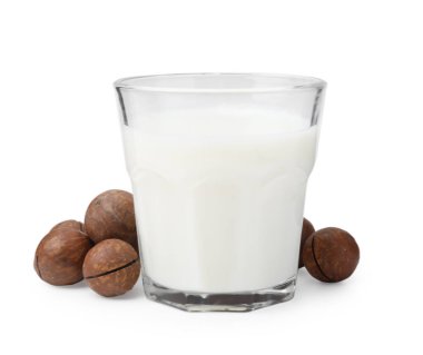 Beyaz üzerine izole edilmiş bir bardak Macadamia sütü ve fındık.