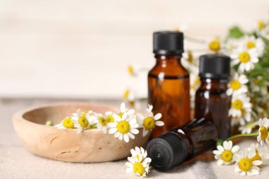 Masada gerekli yağ ve papatya çiçekleri var, yakın plan. Metin için boşluk