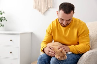 Evdeki koltukta sevimli kızıl kediyi okşayan adam, mesaj için yer.