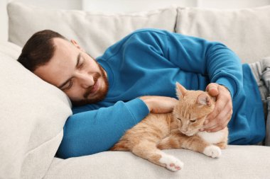 Evdeki kanepede zencefilli kediyi okşayan adam.