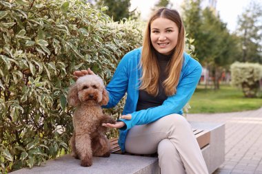 Şirin bir oyuncak köpek, açık hava sahibine patisini veriyor.