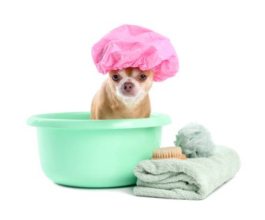 Pembe duş başlığı ve beyaz arka planda banyo yapmak için farklı aksesuarları olan sevimli, komik bir köpek.