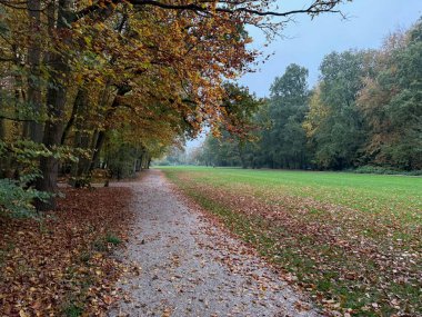 Sonbahar parkında yaprakların döküldüğü güzel bir patika manzarası.