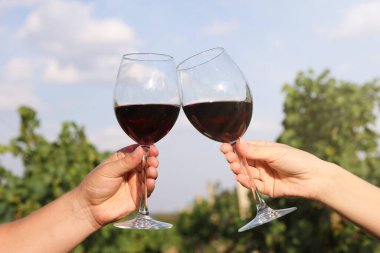 Açık havada birkaç kadeh şarap, yakın plan.