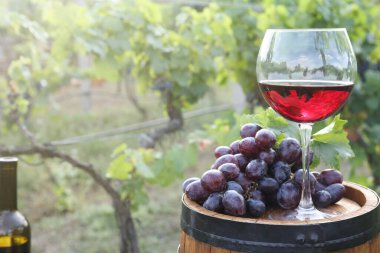 Bardaktaki lezzetli şarap ve dışarıdaki tahta fıçıdaki üzümler. Metin için boşluk