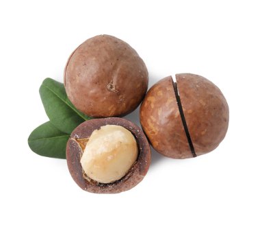 Beyaz kabuklu Macadamia fındıkları, üst manzara