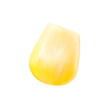 Bir taze mısır çekirdeği beyaza izole edilmiş.