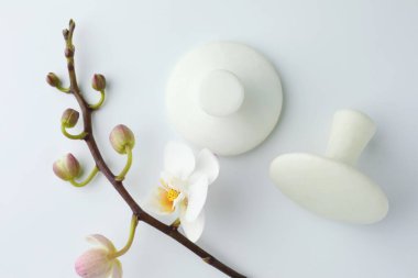 Beyaz zemin üzerinde spa taşları ve orkide dalı, düz yatıyordu