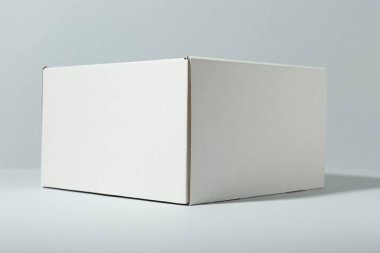 Beyaz arka planda boş bir karton kutu. Tasarım için model