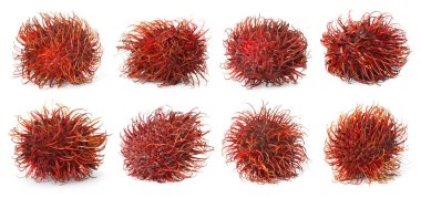 Taze soyulmamış Rambutan meyveleri, beyaz üzerine izole edilmiş.