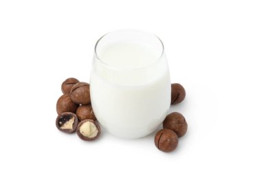 Beyaz üzerine izole edilmiş bir bardak Macadamia sütü ve fındık.