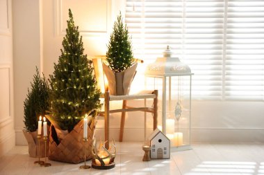 Noel ışıkları ve diğer dekorları olan küçük ladin ağaçları.