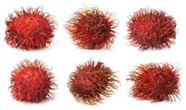 Taze soyulmamış Rambutan meyveleri, beyaz üzerine izole edilmiş.