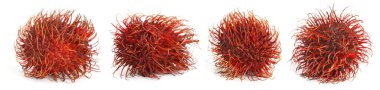 Taze soyulmamış Rambutan meyveleri, beyaz üzerine izole edilmiş.