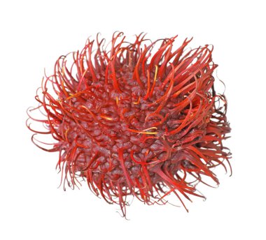 Lezzetli olgun Rambutan beyazda izole edilmiş. Egzotik meyve