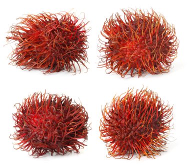Taze soyulmamış Rambutan meyveleri, beyaz üzerine izole edilmiş.