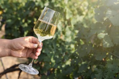 Bardak tutan adam dışarıda lezzetli şarapla, yakın plan. Metin için boşluk