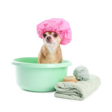 Pembe duş başlığı ve beyaz arka planda banyo yapmak için farklı aksesuarları olan sevimli, komik bir köpek.
