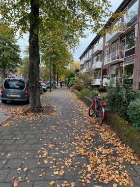 View of street with parked cars and dry fallen leaves on autumn day clipart