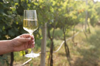 Bardak tutan adam dışarıda lezzetli şarapla, yakın plan. Metin için boşluk