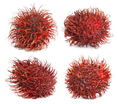 Taze soyulmamış Rambutan meyveleri, beyaz üzerine izole edilmiş.