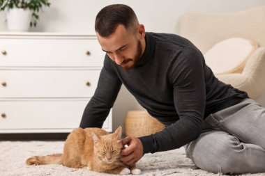 Evdeki sevimli kızıl kediyi okşayan adam.
