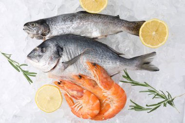 Taze çiğ deniz yiyeceği, limon ve biberiye, buz küpleri, düz uzanmış