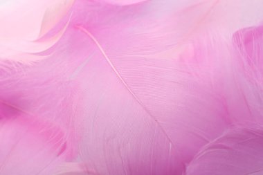 Beautiful pink feathers as background, closeup view clipart