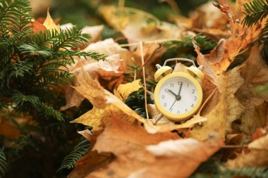 Sonbahar geldi. Düşen yapraklardaki çalar saat