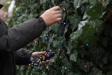 Yeşil fabrikayı Noel ışıklarıyla donatan adam, yakın plan.