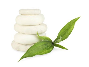 Spa taşı ve yeşil yaprakların üzerinde beyaz izole