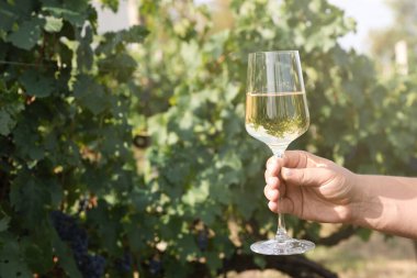 Bardak tutan adam dışarıda lezzetli şarapla, yakın plan. Metin için boşluk