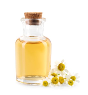 Bir şişe gerekli yağ ve papatya çiçekleri beyaza izole edilmiş.