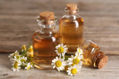 Ahşap masada gerekli yağ ve papatya çiçekleri, yakın plan.