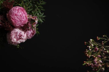 Beautiful fresh flowers on black background, space for text