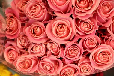 Güzel bir buket taze gül, üst manzara. Çiçek dekoru