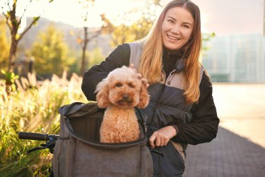 Bisikletli ve sevimli oyuncak köpekli bir kadın güneşli bir günde evcil hayvan taşıyıcısında.