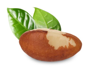 Brezilya cevizi ve yeşil yapraklar beyaz üzerine izole