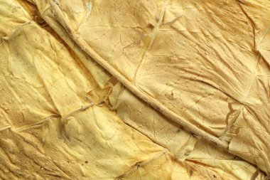 Arka plan olarak kurutulmuş tütün yaprağı, üst görünüm