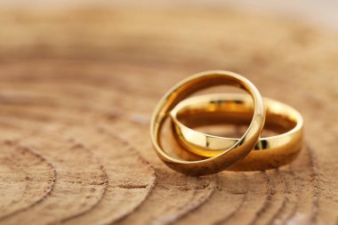 Ağaç kütüğünde güzel altın alyanslar, yakın plan. Metin için boşluk